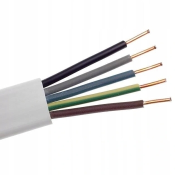 PRZEWÓD 5X2,5 PŁASKI 450/750V - 1m
